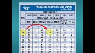 How to Use a PT Chart [upl. by Eiramrefinnej]