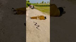 Man sleeping passing king cobra 🐍 [upl. by Anaytat]