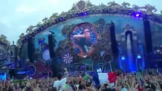 ◢◤Avicii Live At Tomorrowland 2014 HD [upl. by Dlawso]