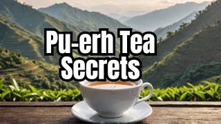 Exploring Puerh Tea History and Health Benefits [upl. by Yracaz]