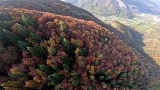 Porcini  Wingsuit Flight  Italy [upl. by Aroda]