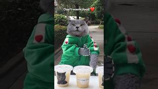 🥛Kind Oscar Gives Free Soy Milk To The Needy😄🙌  Don’t Waste Food catvideos catmemes trending [upl. by Saqaw]