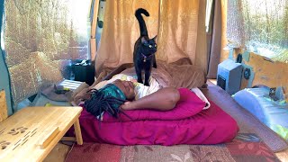 Van life Camping with A Cat [upl. by Avik]