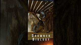 Biology of the Drowner The Witcher [upl. by Lienhard346]