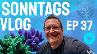 📢Der Meerwasseraquaristik Sonntags Vlog EP 37 ⭐Dropoff amp Coral Master Party Einladung⭐ [upl. by Oluas]