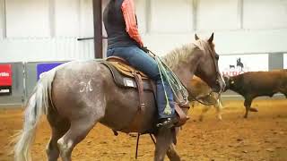 Crocket sells at Cowgirl Cadillac Horse Sale Feb 2023 [upl. by Voltz251]