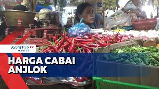 Pasokan Melimpah Harga Komoditas Cabai Anjlok [upl. by Slemmer491]