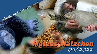 Matze Koch Mit Maulwurf auf alles  Matzes Mätzchen 042022 [upl. by Kunin]