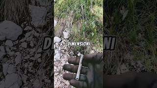 I pericoli del metaldetecting nella militaria ww2 ww1 relic danger relic archeology war [upl. by Maxine]