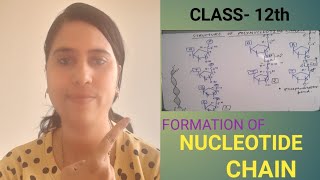 Formation of Polynucleotide chain [upl. by Christyna]