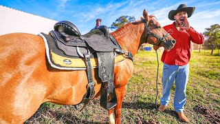 ESSA É A MINHA NOVA SELA DO MEU CAVALO DE 50000 REAIS [upl. by Bordie275]