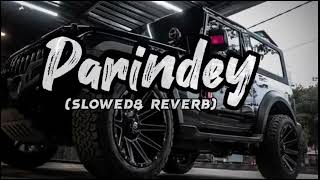 Parindey Yaar Slowed Reverb Song haryanvi Lofi SongSlowed [upl. by Nolrac]