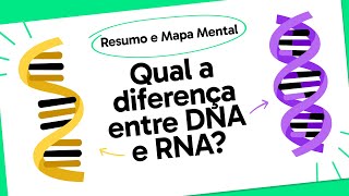 DNA E RNA  QUER QUE DESENHE  MAPA MENTAL [upl. by Michelsen]