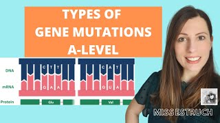 Type of GENE MUTATIONS Alevel Biology Do you know the 6 types of gene mutations [upl. by Gmur]