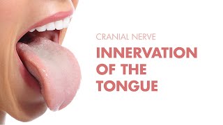 Innervation of the Tongue  Cranial Nerves  MEDZCOOL [upl. by Eimmat]