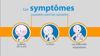 OMS Coronavirus du syndrome respiratoire du MoyenOrient [upl. by Pan45]