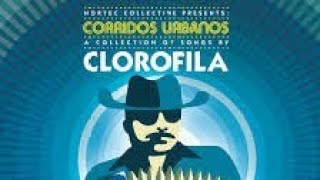 Nortec Collective Clorofila  Baby Rock Rock Audio [upl. by Johnna]