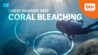 Great Barrier Reef Faces Mass Coral Bleaching Event [upl. by Ytirehc]