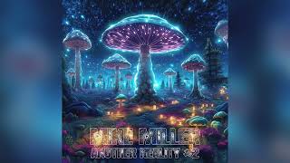 Mike Miller  Another Reality 2 trance goa psytrance [upl. by Comras733]