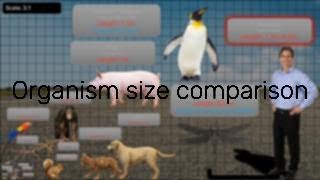 Organism size comparison [upl. by Eniamirt]