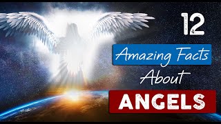 INCREDIBLE TRUTH about ANGELS  12 Facts you need to know [upl. by Dlonyer495]