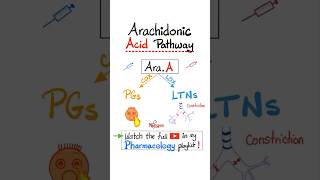 Arachidonic Acid Pharmacology Prostaglandins and Leukotrienes…biology nclex mbbs pharmacology [upl. by Brittan530]