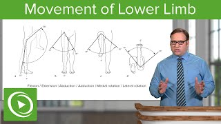 Lower Limb Movements of the Hip Knee and Ankle Joint – Anatomy  Lecturio [upl. by Dnomhcir]