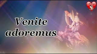 Venite Adoremus Canción con letras [upl. by Dettmer831]