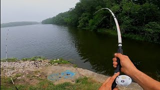 Fishing Spillway For HUGE Catfish BIG REDEAR [upl. by Birdt776]