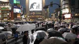 4K・ Rainy night at Tokyo Shibuya [upl. by Andi]