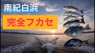 【和歌山南紀白浜】シンプルなのにたくさん釣れる完全フカセ🐟 釣り方 教えます✨ [upl. by Einneb]