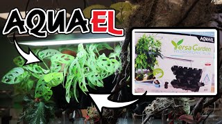 Amazing new garden system for your aquarium from Europe Grow Terrestrial Plants in your aquarium [upl. by Mercy]