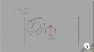 Biochemie Lite Teil 13 [upl. by Alyal]