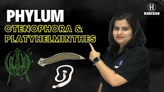 Phylum Ctenophora amp Platyhelminthes neet2024  Biology  Shraddha srivastava  Horizon Academy [upl. by Hamford]