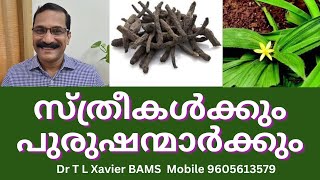 നിലപ്പന കിഴങ്  Nilappanas Secret to Health amp Strength [upl. by Yldarb613]