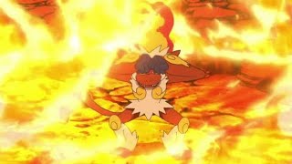 Ashs infernape vs Moltres Pokemon journeys [upl. by Goldston]