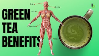 The INSANE Health Benefits of Drinking Green Tea Daily [upl. by Rehpotsirhcnhoj]