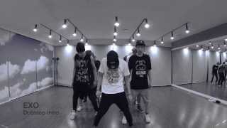 EXO Intro Dubstep [upl. by Treulich130]