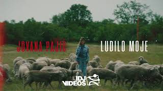 Jovana Pajic  Ludilo Moje Official Audio [upl. by Retsevlis]