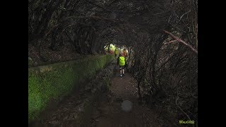 Levada das 25 Fontes  Madeira Levada Walks [upl. by Anauqat]