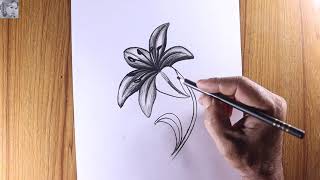 How to draw Lilly flower step by step  Lilly flower charcoal pencil sketch and shading [upl. by Elena]