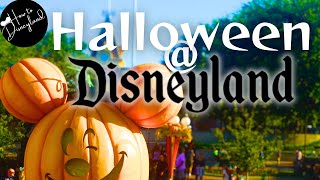 10 Quick tips 2024 Halloween season Disneyland Resort [upl. by Madox]