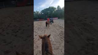 Trust Wolf amp Pedro • 41424 goodday dummyroping cowboy roping training [upl. by Aenel]