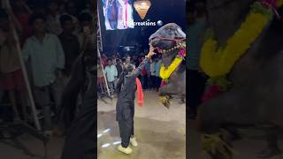 SWAPNA YADAV SADAR AGMAN 2024  sadar festival grand Celebration 2024  sadarfestival subscribe [upl. by Ailedua]