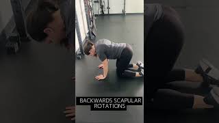 Scapular Mobility amp Strength [upl. by Adnohryt]