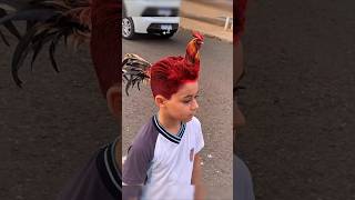 Man transforms into a real Rooster 🐓 in AGT Americas got talent 😱😂 Duo SchumacherAGTmagic [upl. by Aleira]