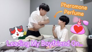 Leading My Boyfriend On With Pheromone Perfume💖Seduce Prank He try to do it Gay Couple BL [upl. by Orland]