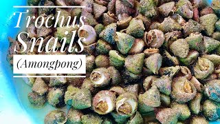 DIVING FOR TROCHUS SNAILS AMONGPONG  CATCH AND COOK  BOHOL PHILIPPINES [upl. by Hylan]