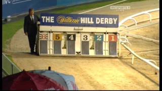 Greyhound Derby Final 2010 [upl. by Kriste254]