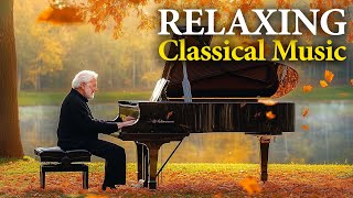 10 Classical Music Pieces That Will Refresh Your Spirit Mozart Chopin Beethoven 🎶 [upl. by Alistair]